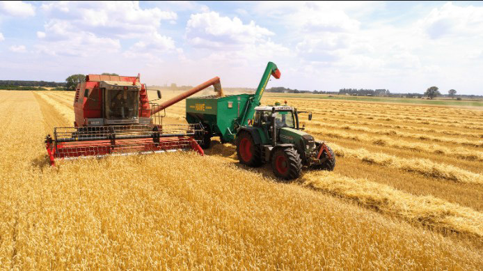 Imagens ilustrativas